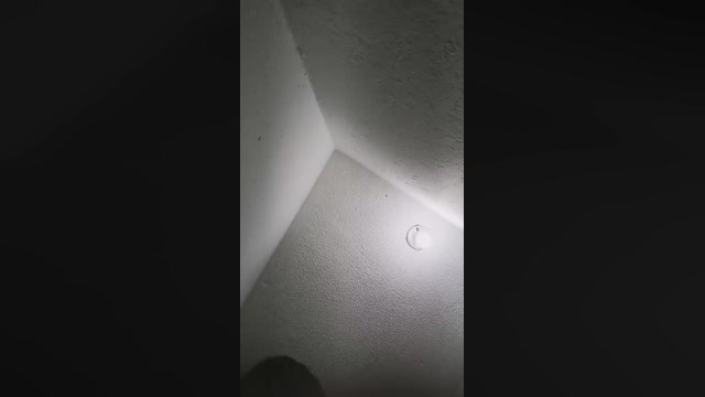 sweet_scarlett_  10-07-2022